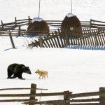 Рамиль Кильмаматов